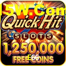 Explore as vantagens do E66: serviço profissional e confiabilidade