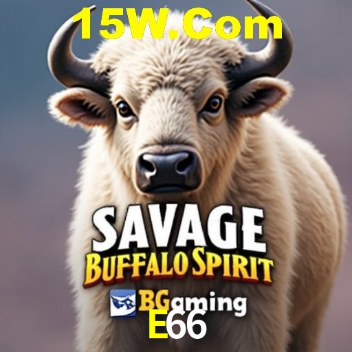 Interface do App E66